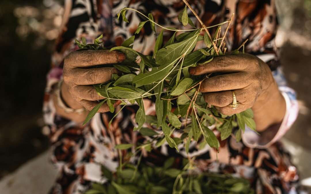 Our Precious Human Life: Embracing Aging’s Spiritual Gifts