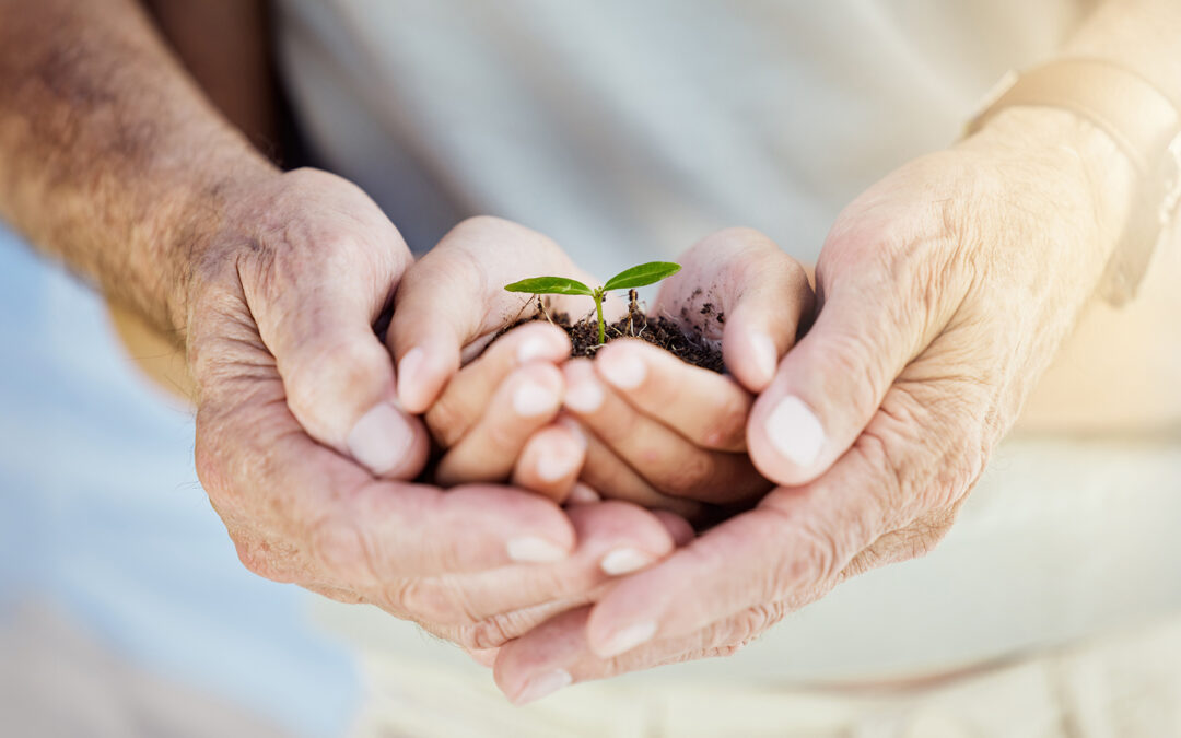 What We Pass Down: How Empathy Shapes Generations